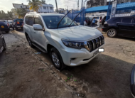2019 Toyota Land Cruiser Prado