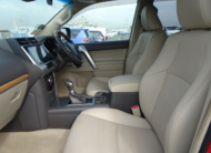 2019 Toyota Land Cruiser Prado TZ-G