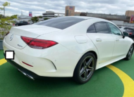 2019 Mercedes-Benz CLS-Class