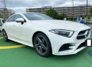 2019 Mercedes-Benz CLS-Class