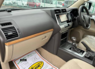 2020 Toyota Land Cruiser Prado TX