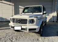 2019 Mercedes-Benz G-Class