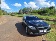 2014 BMW 520i Turbocharged