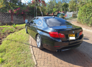 2014 BMW 520i Turbocharged
