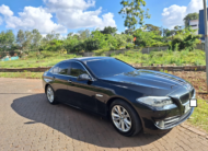 2014 BMW 520i Turbocharged