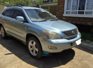 2005 Lexus RX300