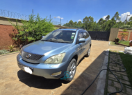 2005 Lexus RX300