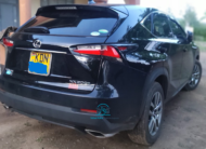 2016 Lexus NX200t
