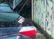 Honda Shuttle Hybrid 2018