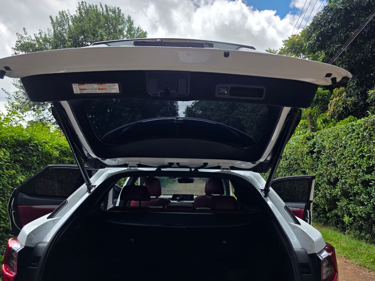 Lexus RX300 F Sport 2018